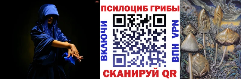 Купить где  Саянск  Галлюциногенные грибы Cubensis 